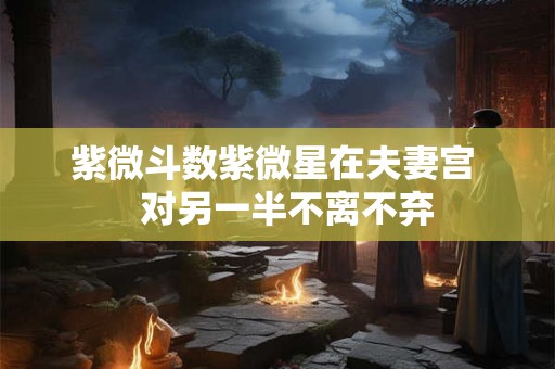 紫微斗数紫微星在夫妻宫   对另一半不离不弃