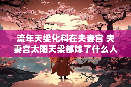 流年天梁化科在夫妻宫 夫妻宫太阳天梁都嫁了什么人
