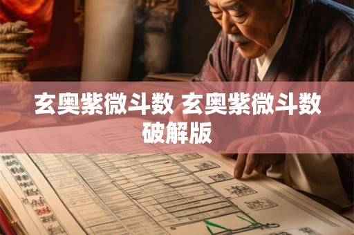 玄奥紫微斗数 玄奥紫微斗数破解版