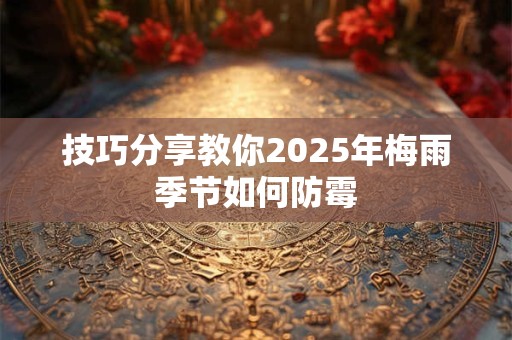 技巧分享教你2025年梅雨季节如何防霉