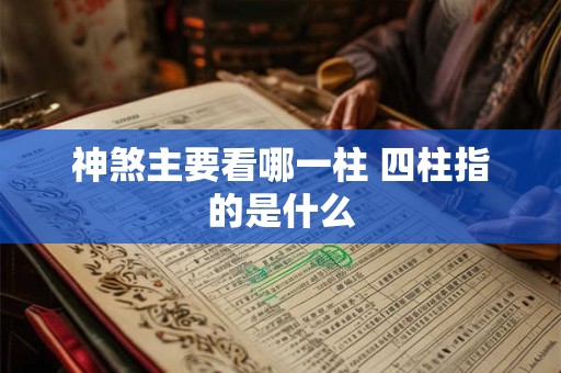 神煞主要看哪一柱 四柱指的是什么