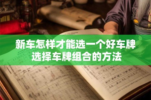 新车怎样才能选一个好车牌 选择车牌组合的方法