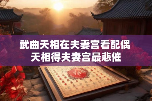 武曲天相在夫妻宫看配偶 天相得夫妻宫最悲催