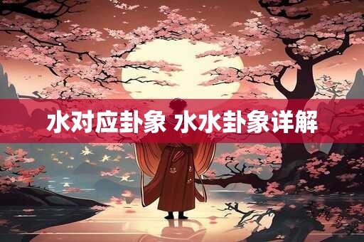 水对应卦象 水水卦象详解