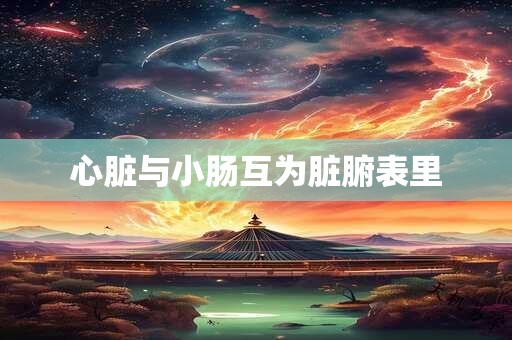 心脏与小肠互为脏腑表里