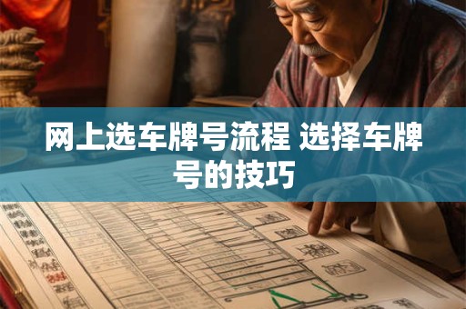 网上选车牌号流程 选择车牌号的技巧