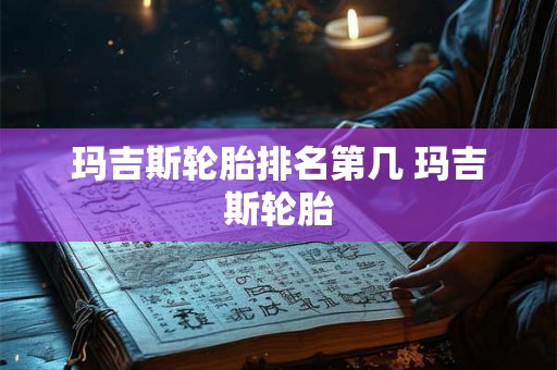 玛吉斯轮胎排名第几 玛吉斯轮胎