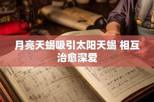 月亮天蝎吸引太阳天蝎 相互治愈深爱