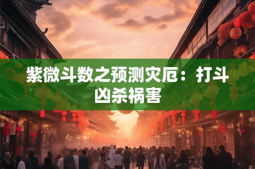 紫微斗数之预测灾厄：打斗凶杀祸害