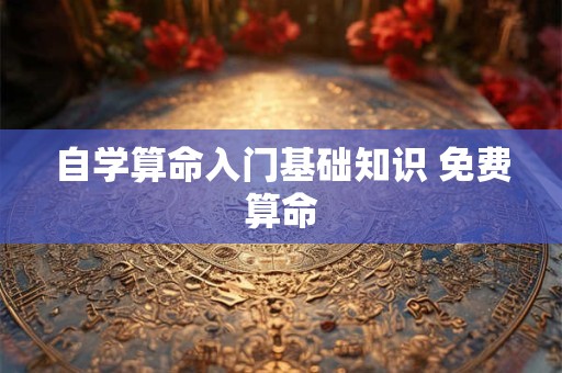 自学算命入门基础知识 免费算命