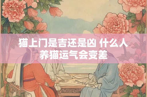 猫上门是吉还是凶 什么人养猫运气会变差