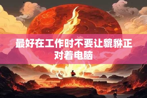 最好在工作时不要让貔貅正对着电脑