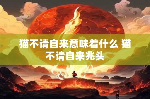 猫不请自来意味着什么 猫不请自来兆头