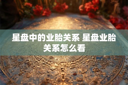 详细阅读:星盘中的业胎关系 星盘业胎关系怎么看 星盘中的业胎关系 星盘业胎关系怎么看