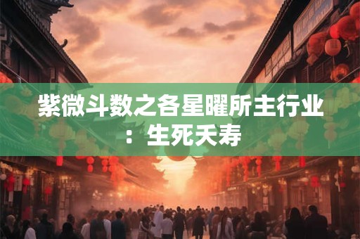 紫微斗数之各星曜所主行业：生死夭寿