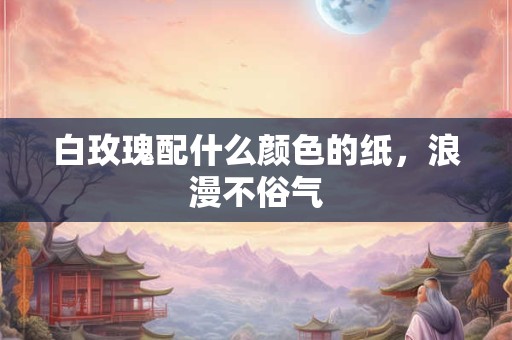 白玫瑰配什么颜色的纸，浪漫不俗气