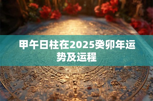 甲午日柱在2025癸卯年运势及运程