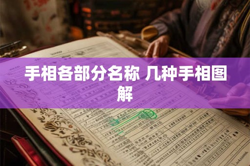手相各部分名称 几种手相图解