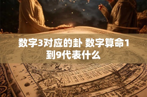汽车牌照号什么号比较好 怎样网上选车牌号