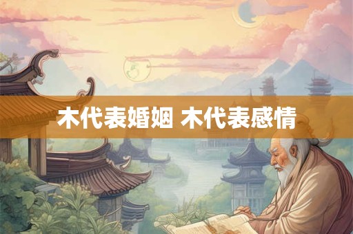 木代表婚姻 木代表感情