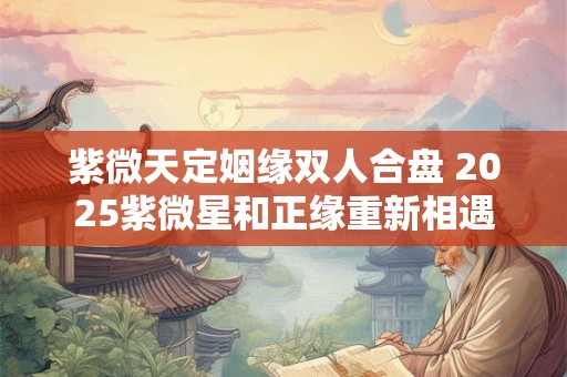 紫微天定姻缘双人合盘 2025紫微星和正缘重新相遇