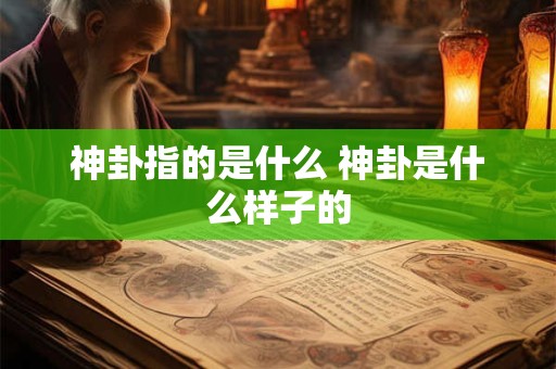 神卦指的是什么 神卦是什么样子的