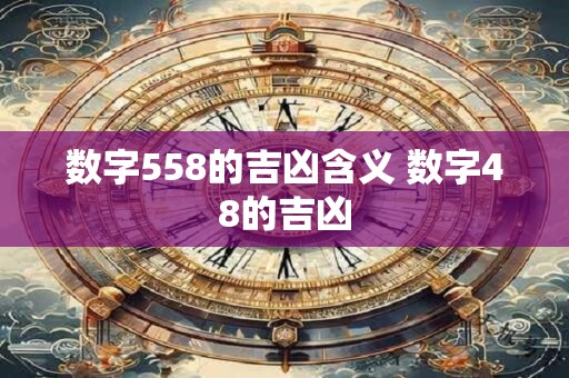 数字558的吉凶含义 数字48的吉凶