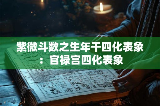 紫微斗数之生年干四化表象：官禄宫四化表象