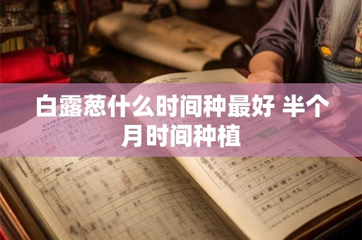 白露葱什么时间种最好 半个月时间种植