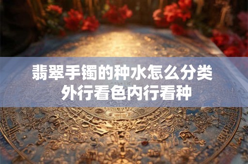 翡翠手镯的种水怎么分类  外行看色内行看种