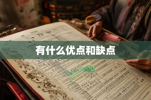 有什么优点和缺点