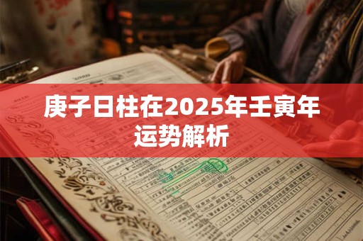 庚子日柱在2025年壬寅年运势解析