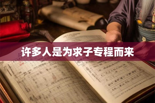 许多人是为求子专程而来