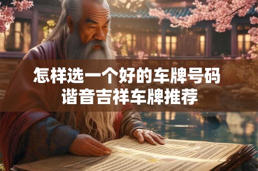 怎样选一个好的车牌号码 谐音吉祥车牌推荐