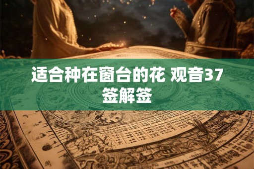 适合种在窗台的花 观音37签解签