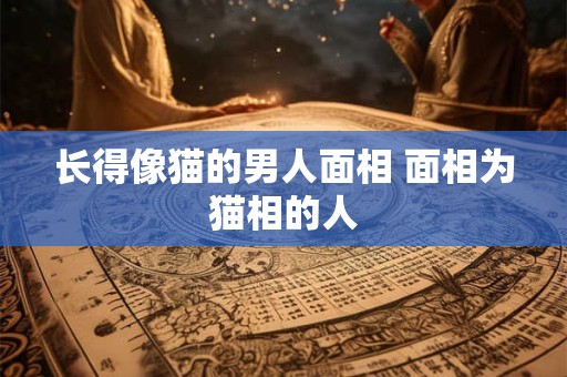 长得像猫的男人面相 面相为猫相的人