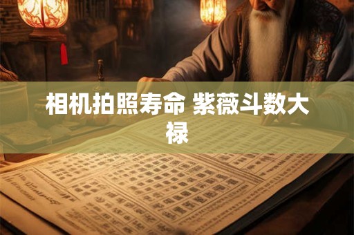 详细阅读:相机拍照寿命 紫薇斗数大禄 相机拍照寿命 紫薇斗数大禄