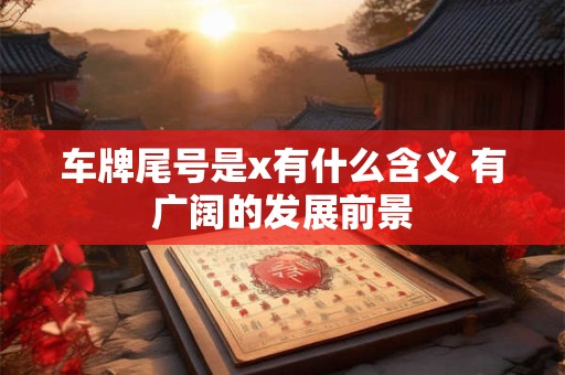 车牌尾号是x有什么含义 有广阔的发展前景