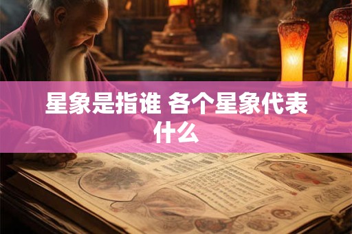 星象是指谁 各个星象代表什么