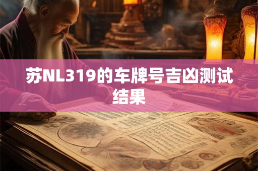 苏NL319的车牌号吉凶测试结果