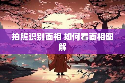 拍照识别面相 如何看面相图解