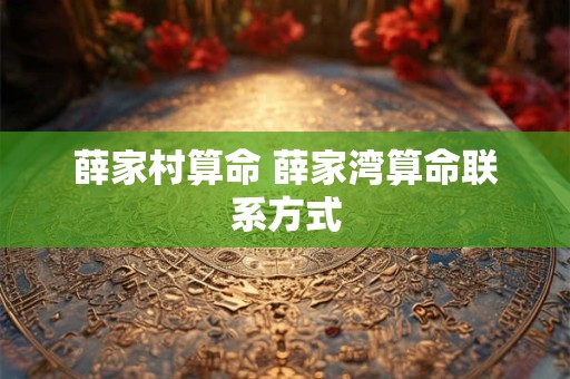 薛家村算命 薛家湾算命联系方式