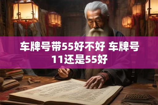 车牌号带55好不好 车牌号11还是55好