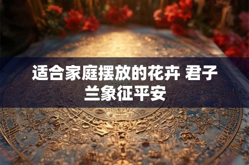 适合家庭摆放的花卉 君子兰象征平安