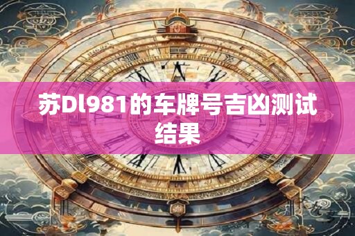 苏Dl981的车牌号吉凶测试结果
