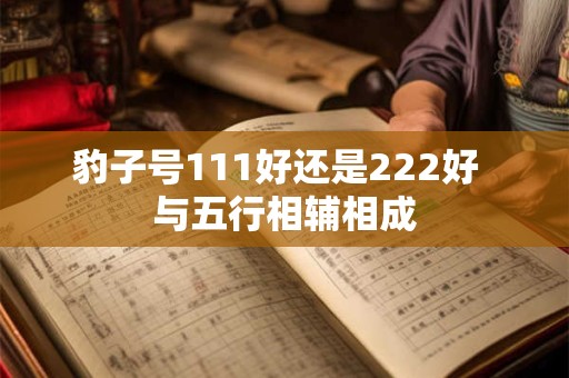 豹子号111好还是222好  与五行相辅相成