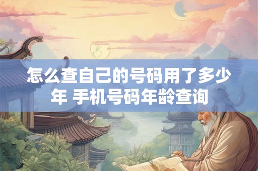 怎么查自己的号码用了多少年 手机号码年龄查询