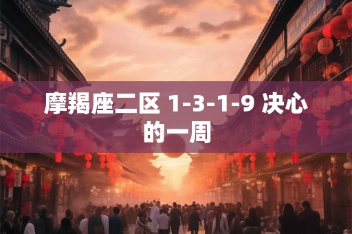 摩羯座二区 1-3-1-9 决心的一周