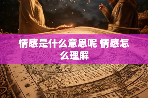 情感是什么意思呢 情感怎么理解