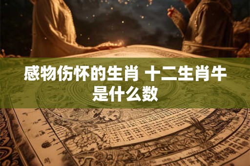 感物伤怀的生肖 十二生肖牛是什么数